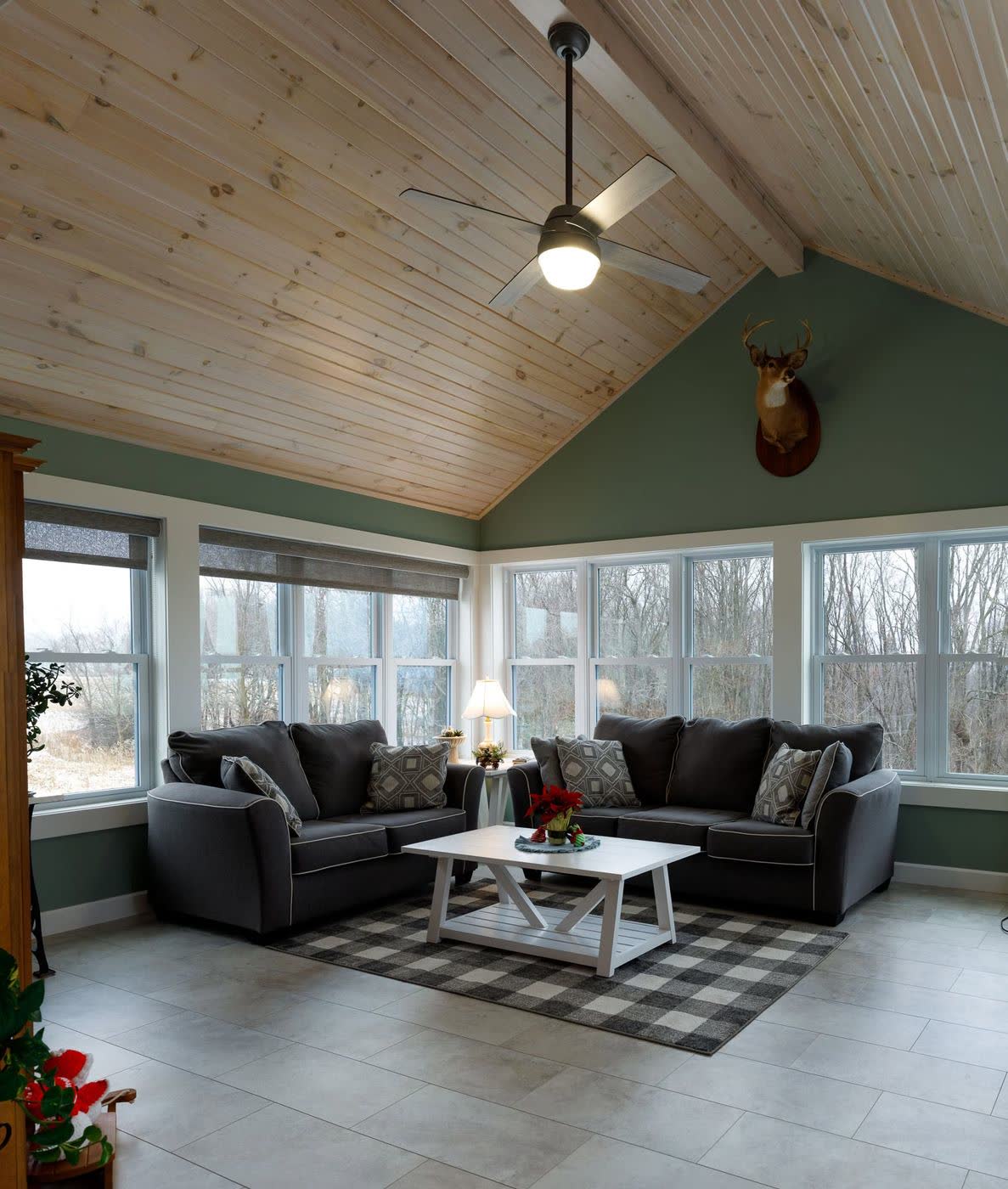 Vaulted living room interior