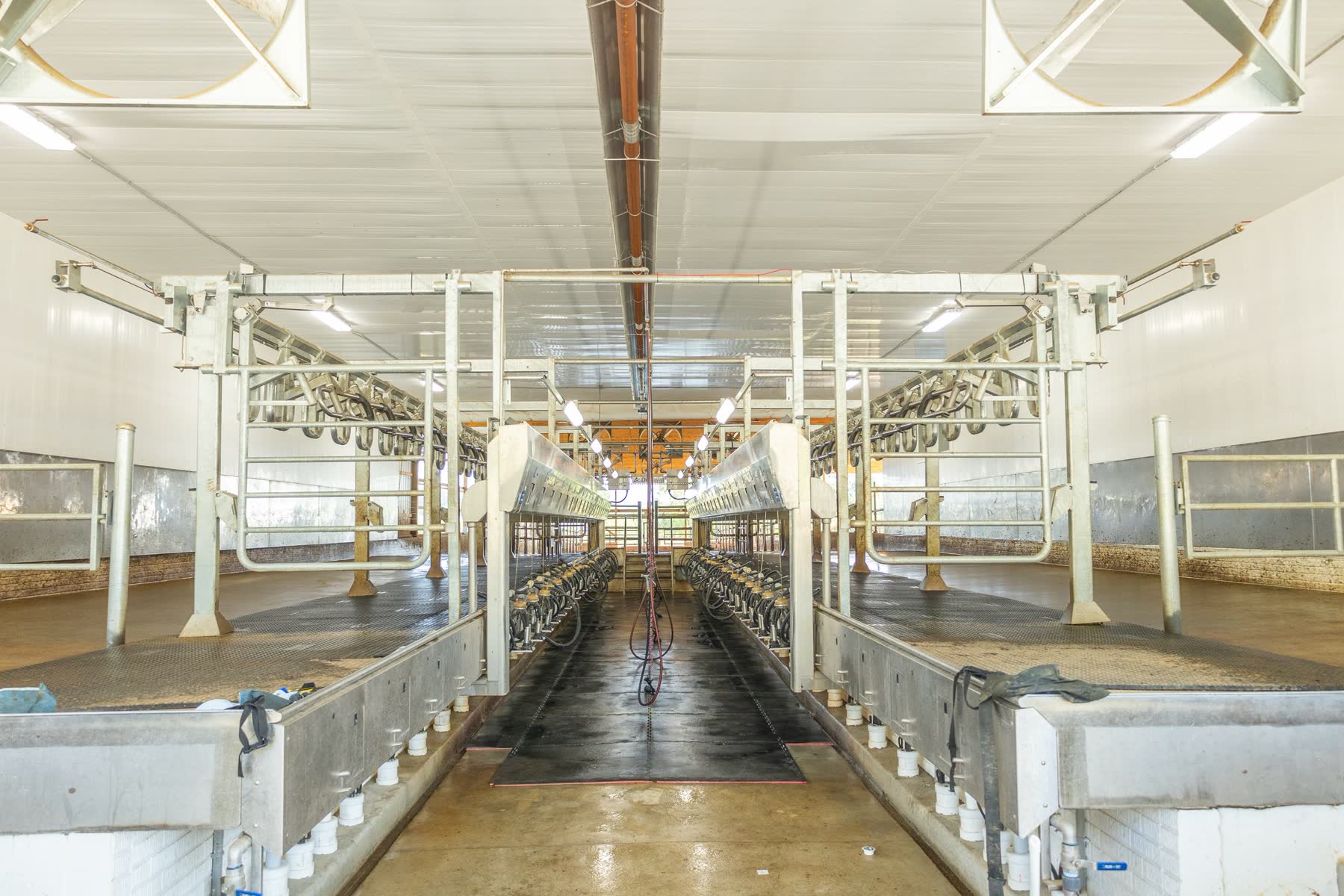 Interior of a dairy milking parlor with stainless equipment