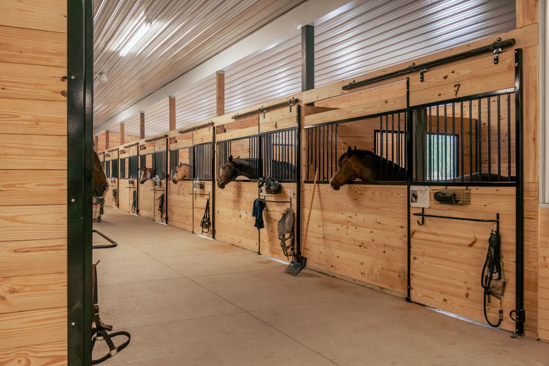 Horses looking out over wood-and-bar stall fronts along a bright center aisle